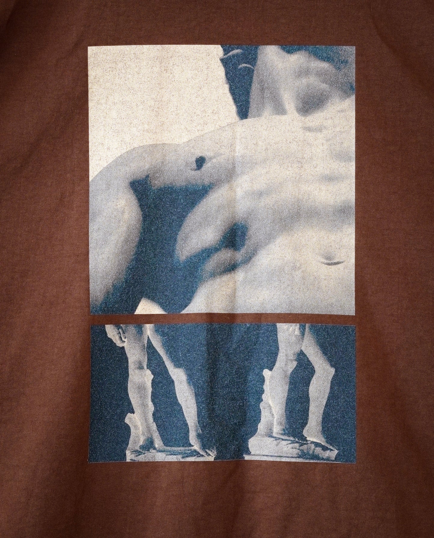 Nude figure and classical statue design on a brown t-shirt